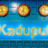 Отель Kadupul Hotel, фото 23