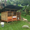 Отель Finca Ecolodges El Ocelote, фото 9