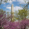 Отель Residence Inn Washington, DC/Foggy Bottom, фото 13