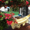 Отель Floripa4You Bed & Breakfast, фото 22