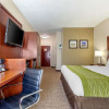 Отель Comfort Inn, фото 5