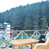 Отель Hadimba Way Manali - Best Family Hotel, фото 13