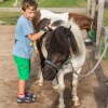 Отель Familien Erlebnishof Büdlfarm, фото 20