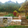 Отель Kassandra Garden Residence, фото 46
