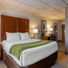 Отель Comfort Inn Gateway To Glacier, фото 47
