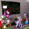 Отель Good Morning Chiangrai Homestay – Hostel, фото 15