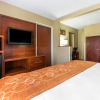 Отель Comfort Suites near I-80 and I-94, фото 6