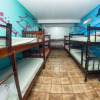Отель Natural Hostel, фото 4