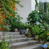 Отель Anji Yieryi. Coco Garden Homestay, фото 9