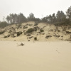 Отель Tasteful Villa on the Polish Coast in Beautiful Nature, Lovely Garden, Sauna, фото 18