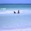 Отель Anna Maria Island 1301 7A, фото 23
