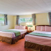 Отель Rodeway Inn Orleans - Cape Cod, фото 4