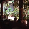 Отель Posada Mandala, фото 7