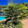 Отель Spoleto-poolside-slps 20 1 Hour to Rome - Fabulous Gardens, Bbq Area, Pool, фото 16