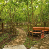 Отель The Windflower Jungle Resorts and Spa, фото 24