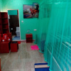 Отель New Blue Home, фото 15