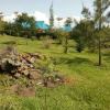 Отель Fidos Guest House, фото 16