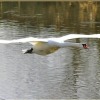 Отель Watermeadow Lakes & Lodges, фото 15