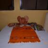 Отель El Hotelito Antigua Center -Hostel, фото 6