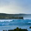 Отель Hanson Bay Wildlife Sanctuary and Cabins, фото 10