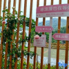 Отель Yunshanying B&B (Tianzhushan Scenic Area Branch), фото 4