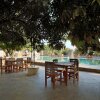 Отель Gir Lions Paw Resort With Swimming Pool, фото 11