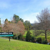 Отель Trentham Motel, фото 6