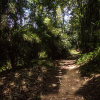Отель Uravu Bamboo Grove, фото 4