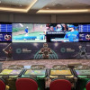 Отель Pickering Casino Resort Hotel, фото 36