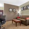 Отель Comfort Inn & Suites, фото 34