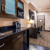 Отель Best Western Premier Crown Chase Inn & Suites, фото 37