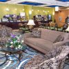Отель Holiday Inn Express & Suites Elkton - University Area, an IHG Hotel, фото 2