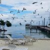 Отель The Club At Caye Caulker, фото 20