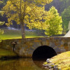Отель Chetola Resort at Blowing Rock, фото 36