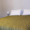 Отель Ashburton's Regency Motel, фото 6