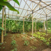 Отель Villa Tirta Indah, фото 26