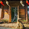 Отель Taloh Homestay Chiangmai, фото 18
