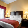 Отель Comfort Inn & Suites, фото 3