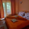 Отель Pensiunea Mario, фото 16