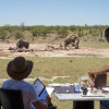 Отель Jamala Madikwe Royal Safari Lodge, фото 13