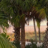 Отель Tiki s Beachside Bungalow 2 - Studio Condo Just Steps to the Sand, фото 10