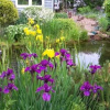 Отель Beside the Trail Bed & Breakfast, фото 9