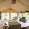 Отель Nyikani Camp- Central Serengeti, фото 2