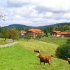 Отель Gasthof zum Breitenberg, фото 13