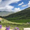 Отель Paro Village View Home Stay, фото 12