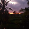 Отель Aroem Villa Ubud, фото 14