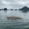 Отель Dung Lai Hotel, фото 4