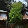 Отель 1 BHK Tree house in Pallivasal, Munnar, by GuestHouser (B46A), фото 1