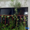 Отель Xianju Banxilou House, фото 4