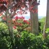 Отель Edencrest Bed & Breakfast, фото 8